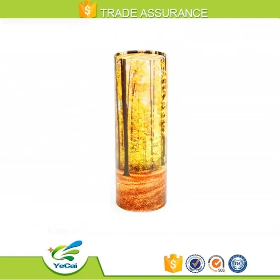 Factory direct friendly natural lip balm container for cosmetic packaging