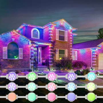 DC 48V Waterproof IP68 RGB Smart Wi-Fi LED Decorative Christmas Yard Lights with Multiple LED Options