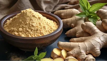 Ginger Extract Ginger Powder