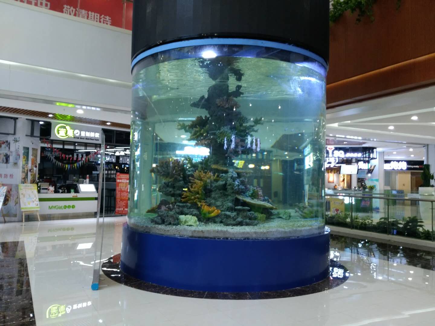 Acrylic cylinder aquarium