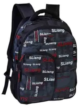 Shan Liang bags