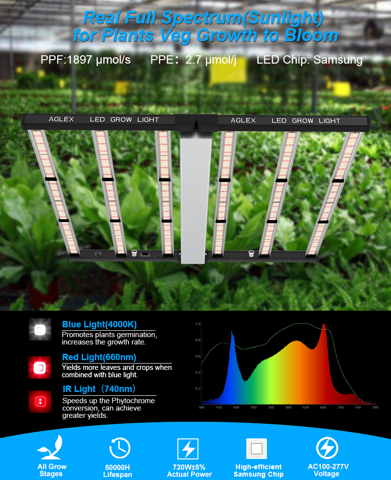 samsung 281b led grow light