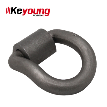Keyoung China High Quality Truck Trailer D Ring for Lashing