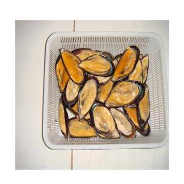 High Quality Frozen Mussel Meat Without Shell Iqf Half Shell Mytilus Edulis Frozen Mussel Meat Iqf