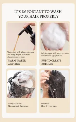 Factory Wholesale Natural Organic Ginger Polygonum Multiflorum Hair Shampoo - 650ml