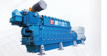 PUSH-G series gas generator set