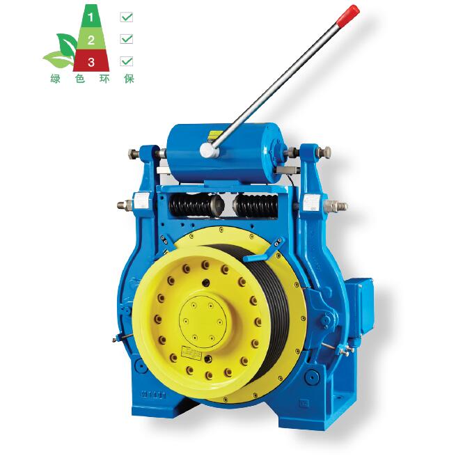 WTY1/WTY1-C SERIES SINGLE WRAP GEARLESS MOTOR