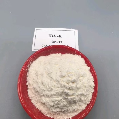 โพแทสเซียมอินโดล 3 บิวเทรต KIBA CAS No. 60096-23-3