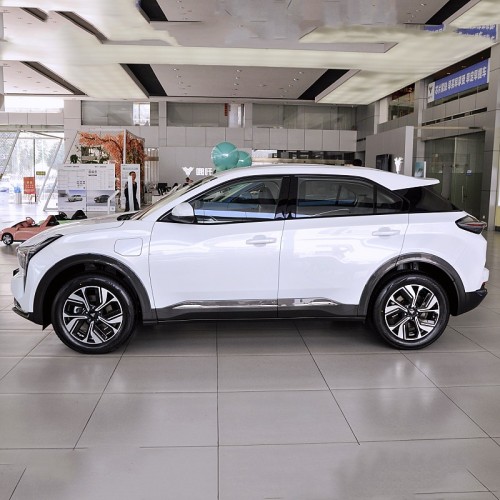 Compact pure electric vehicle neta u