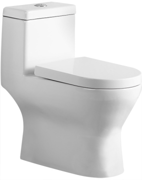 Wash Down One-piece Elongated Toilet In White