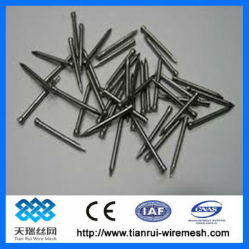 Bright smooth common nails (factory)