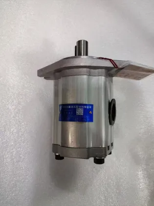 Taiwan Xinhong Gear Pump