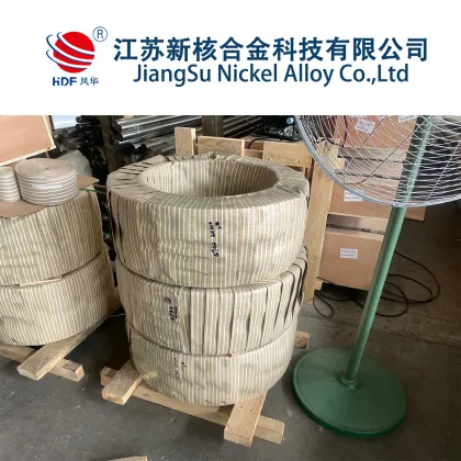 Hastelloy C-276 strip: A Comprehensive Overview