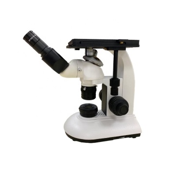 Pabrik Pasokan Infinity Laboratorium Mikroskop Optik MDJ200 Mikroskop Metalurgi Terbalik "Namun, jika Anda mencari judul yang lebih ringkas untuk mesin pencari, Anda dapat mempertimbangkan:" MDJ200 Mikroskop Metalurgi Terbalik - Pasokan Pabrik M