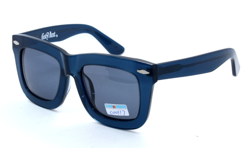 The Latest New Sunglasses (C0122-1)