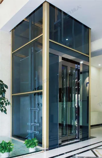 Indoor Home Elevator of used Home elevators