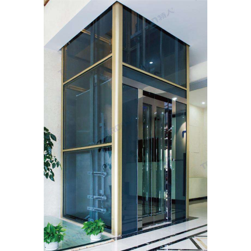 Indoor Home Elevator of used Home elevators