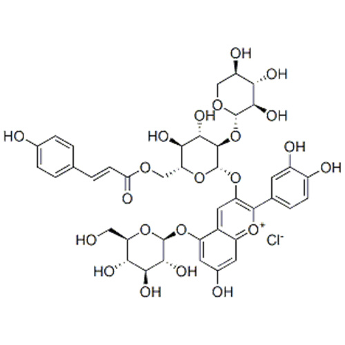 1-Benzopyrylium, 2- (3,4-dihydroksyfenylo) -5- (beta-D-glukopiranozyloksy) - 7-hydroksy-3 - ((6-O - ((2E) -3- (4-hydroksyfenylo) -1) -okso-2-propenylo) -2-O-beta-D-ksylopiranozylo-beta-D-glukopiranozylo) oksy) -, chlorek CAS 139906-05-1