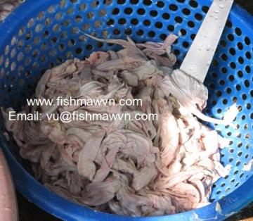 Sell dried fish maw