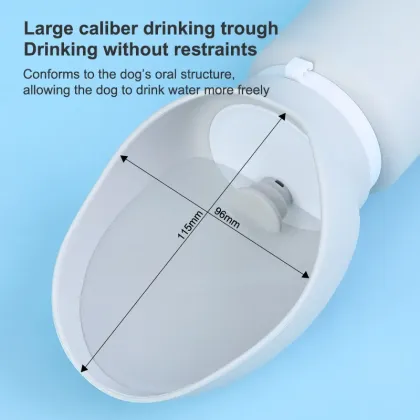 dog water bottle & bowl