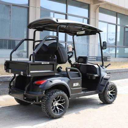 Electric Differential for Golf Cars