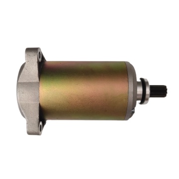 Motorcycle Starter Motor Parts for Suzuki GN250 & GZ250 Models (1999-2010)