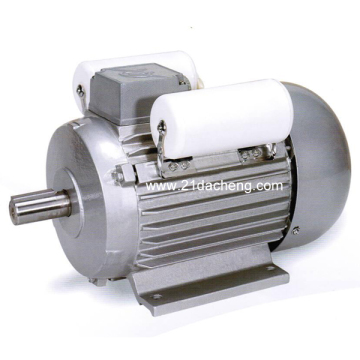 YL Heavy Duty Series Single-phase Capacitor Start Asynchronous Motor