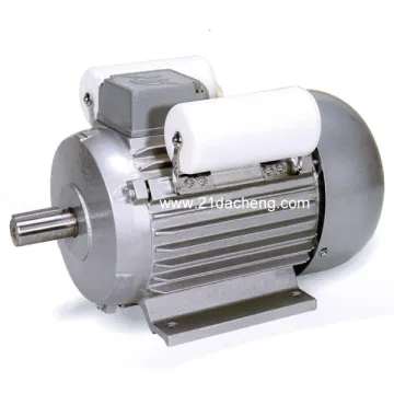 YL Heavy Duty Series Single-phase Capacitor Start Asynchronous Motor