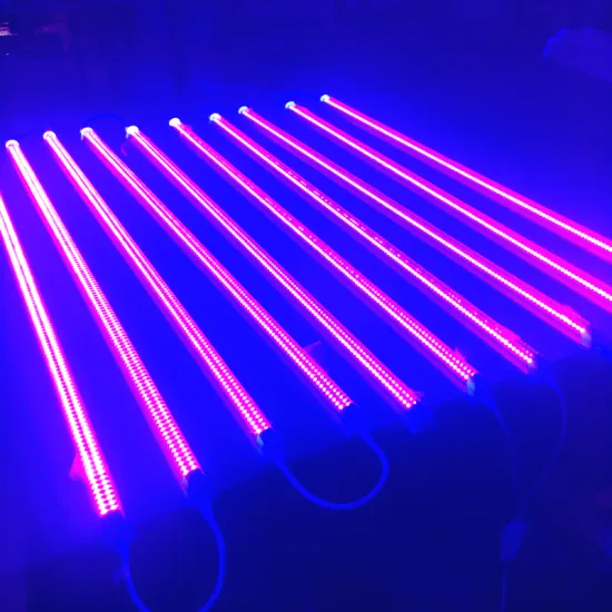 China Manufacturer's 144/288 LEDs UV, IR, UVA Spectrum LED Grow Light: 395nm & 400nm Bar