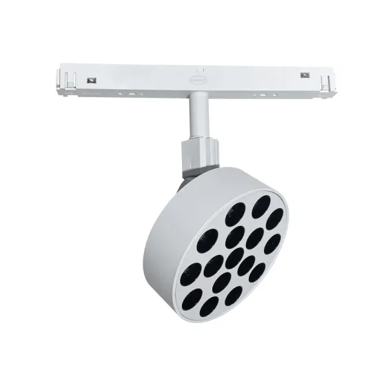 LEDEAST MTGB-R16 12W Commercial Magnetic Track Light - New Arrivals