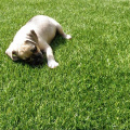 38mm Landscaping Artificial Grass Lawn Grass Pet Carpet