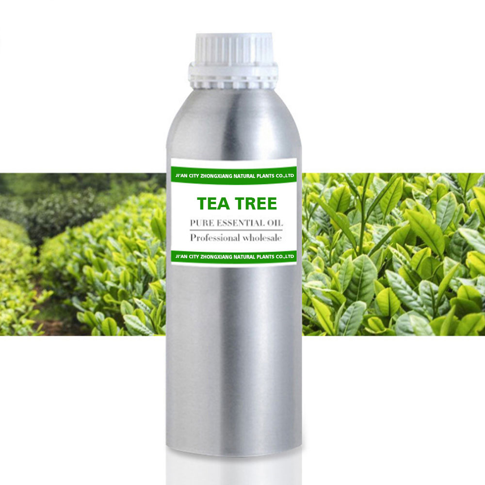 Máquina de extracto de aceite de árbol de té 100% natural para la venta