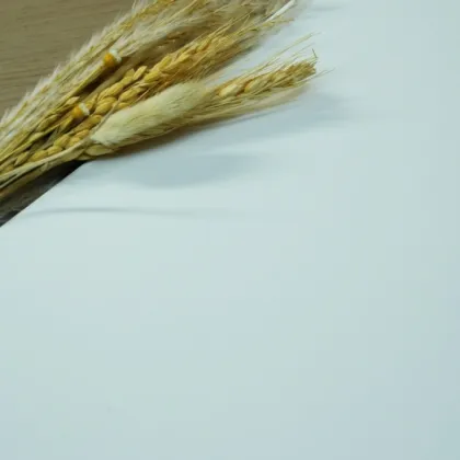 Durable Melamine Coated Particle Board