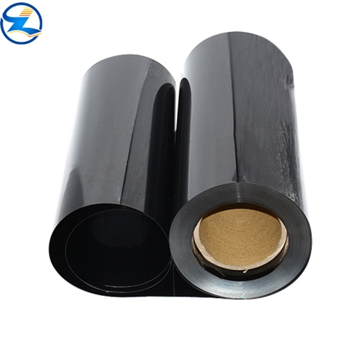 Colored PP Rigid rolls sheet for food Packaging