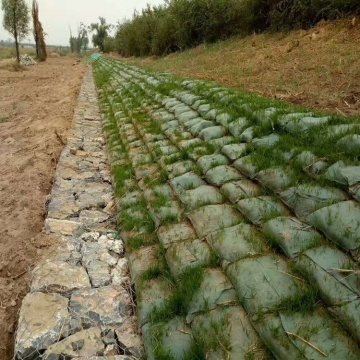 Non Woven Ecological Pouch for Living Walls
