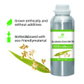 Óleo essencial para eucalipto orgânico a granel 100% puro para difusores de aromaterapia Sowneradores de ar | 1 kg de grau terapêutico