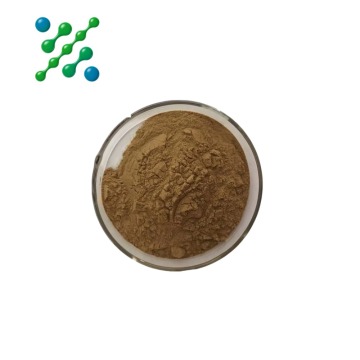 Organic reishi extract powder supplement