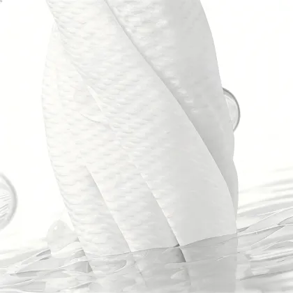 Gentle Makeup Remover Dry Cleansing Wipes