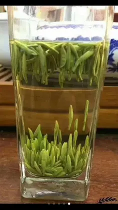 Green tea health benefits