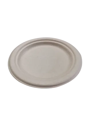 Customized party paper tableware bagasse dinner plate