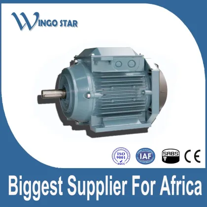 WINGO STAR iec standard three phase electric motor