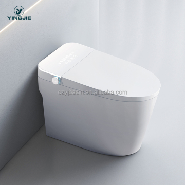 Smart Japanese Toilet Seat Cover Set with Remote Control and Water-Closing Feature