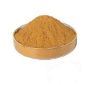 Buy online ingredients Polygala tenuifolia Extract Powder