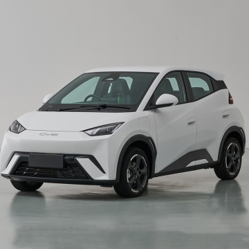2023 Mini elettrici puro byd più economici in vendita in vendita