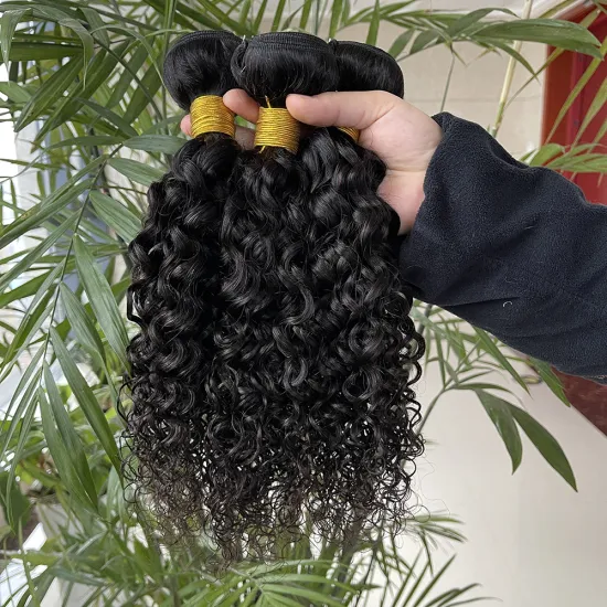 Wholesale Free Shipping Vietnamese Raw Hair 12a Wet and Wavy Human Hair Weave Bundle in Xuchang China Hair Factories
