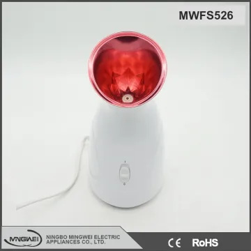 Beauty equipment China new design popular handy nano facial steamer