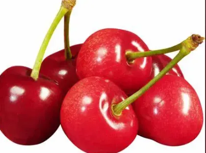 Sour Cherry Powder Benefits and Uses
