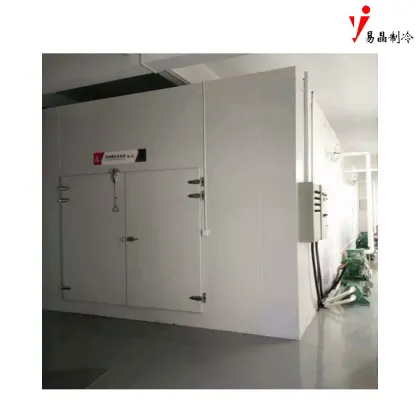 Quick-Action Thermal Cold Door 6