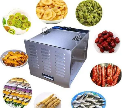 Professional dried fruits machines fruits drying machine