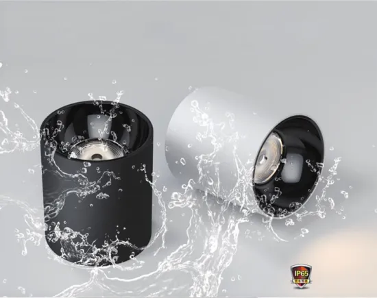 Waterproof IP65 COB LED Cylinder Downlight for Outdoor Ceiling